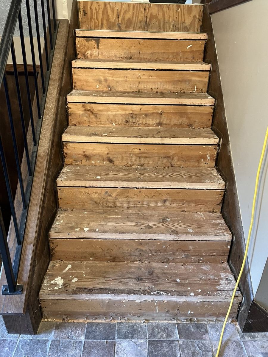 Before — stripped stair treads